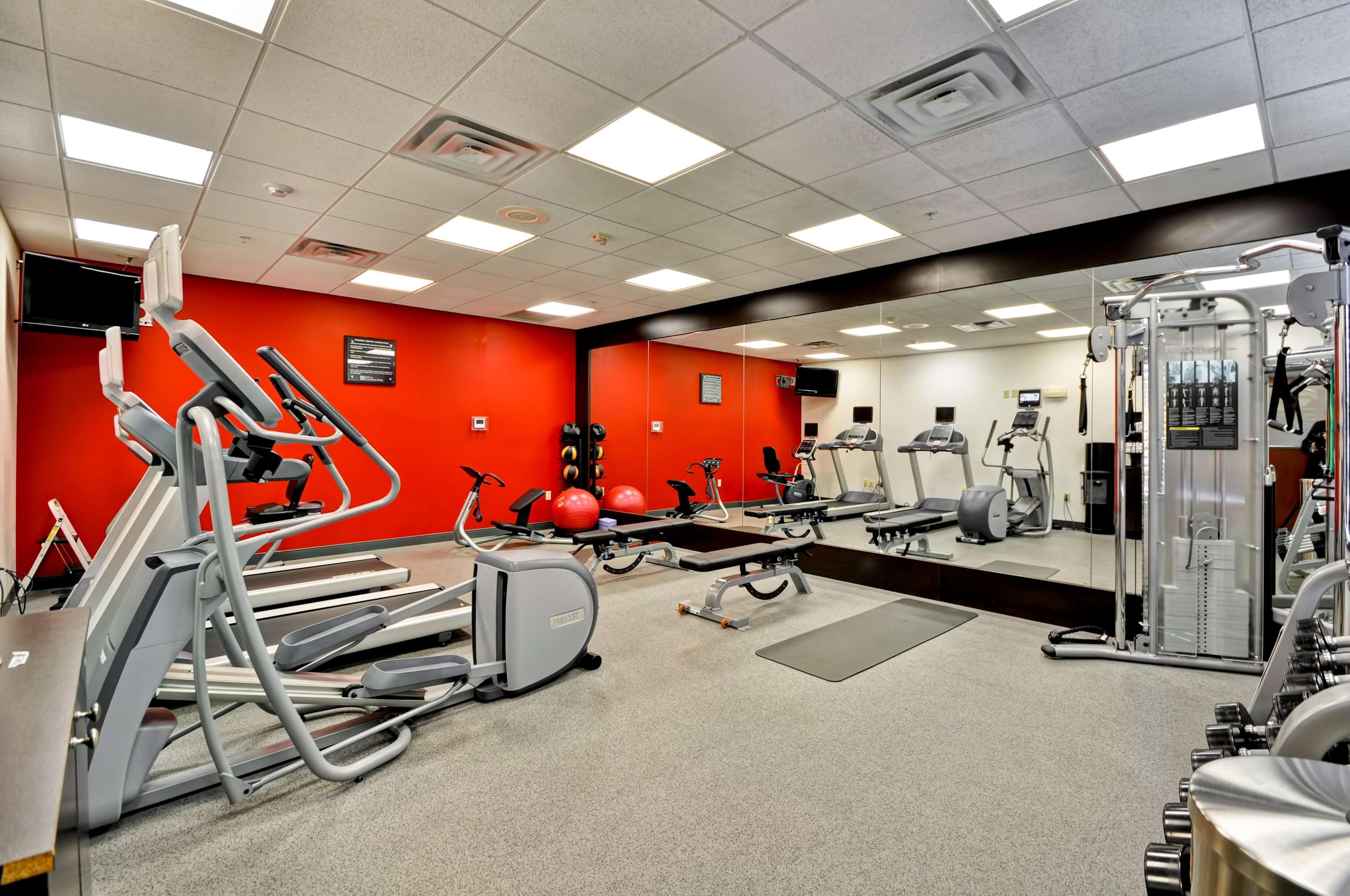 Hilton Garden Inn Tampa Northwest/Oldsmar Exterior photo