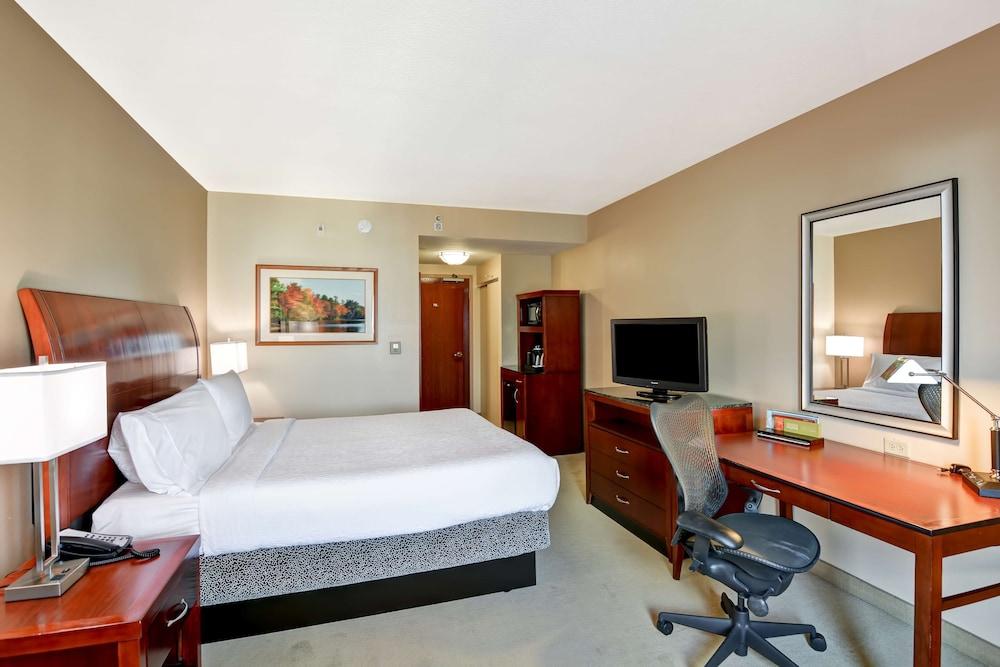 Hilton Garden Inn Tampa Northwest/Oldsmar Exterior photo